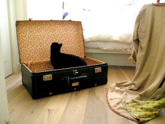 Missortelia B&B Amsterdam Rom bilde